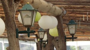 Gaststätte Pension Biergarten Vorwerk Altenroth Thüringer Meer Stausee Hohenwarte Beer garden 7