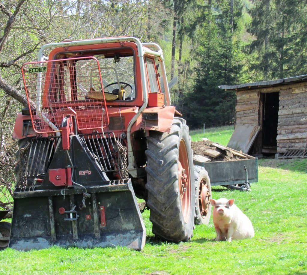 Gasthaus Unterkunft und Biergarten am Thüringer Meer Vorwerk Altenroth (17)